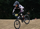 921H7173 bmx-tc-11-9-21
